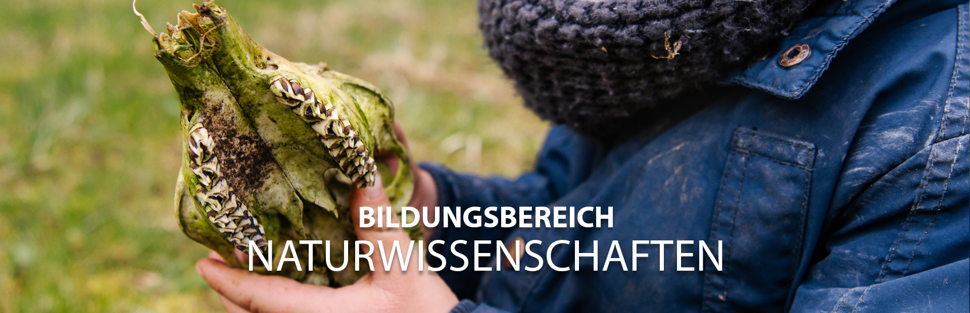  Foto zu PÄDAGOGIK im Wald – Kindergarten Hand in Hand 